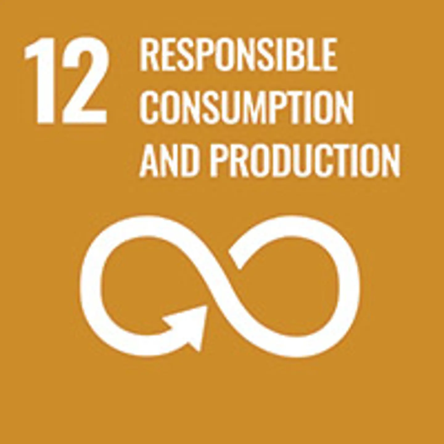 On a brown background, the number 12 in white in the top left corner, the text "responsible consumption and production" beside, below an illustrated eternity loop